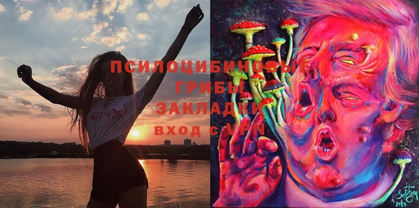 spice Ладушкин