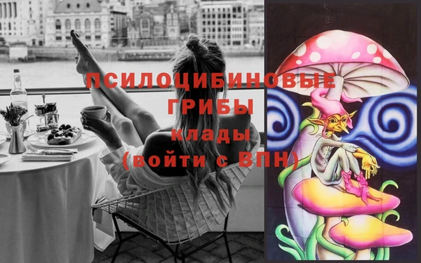 сатива Лагань