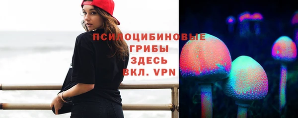 spice Ладушкин