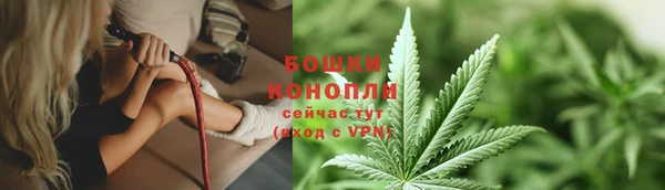 ГАЛЛЮЦИНОГЕННЫЕ ГРИБЫ Лабытнанги
