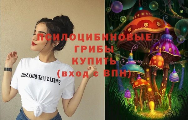 ГАЛЛЮЦИНОГЕННЫЕ ГРИБЫ Лабытнанги