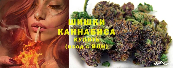 spice Ладушкин