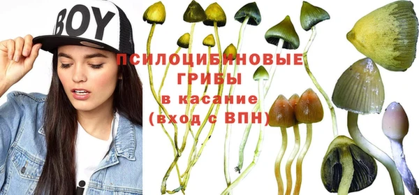ГАЛЛЮЦИНОГЕННЫЕ ГРИБЫ Лабытнанги