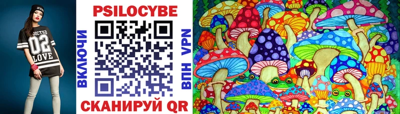 что такое   Трубчевск  Псилоцибиновые грибы MAGIC MUSHROOMS 